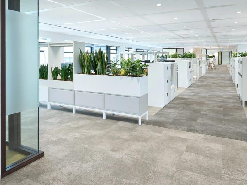 Open kantoor met plantenbakken en witte kasten op grijze tapijttegels